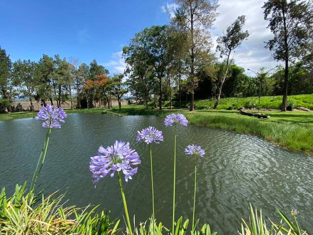 Venda em Vila Esperia ou Giglio - Atibaia